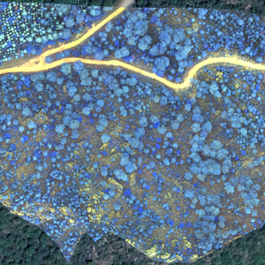 image multispectrale