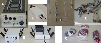 système d'électrophysiologie humaine