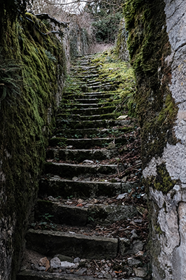 revitalisation escalier abandonne