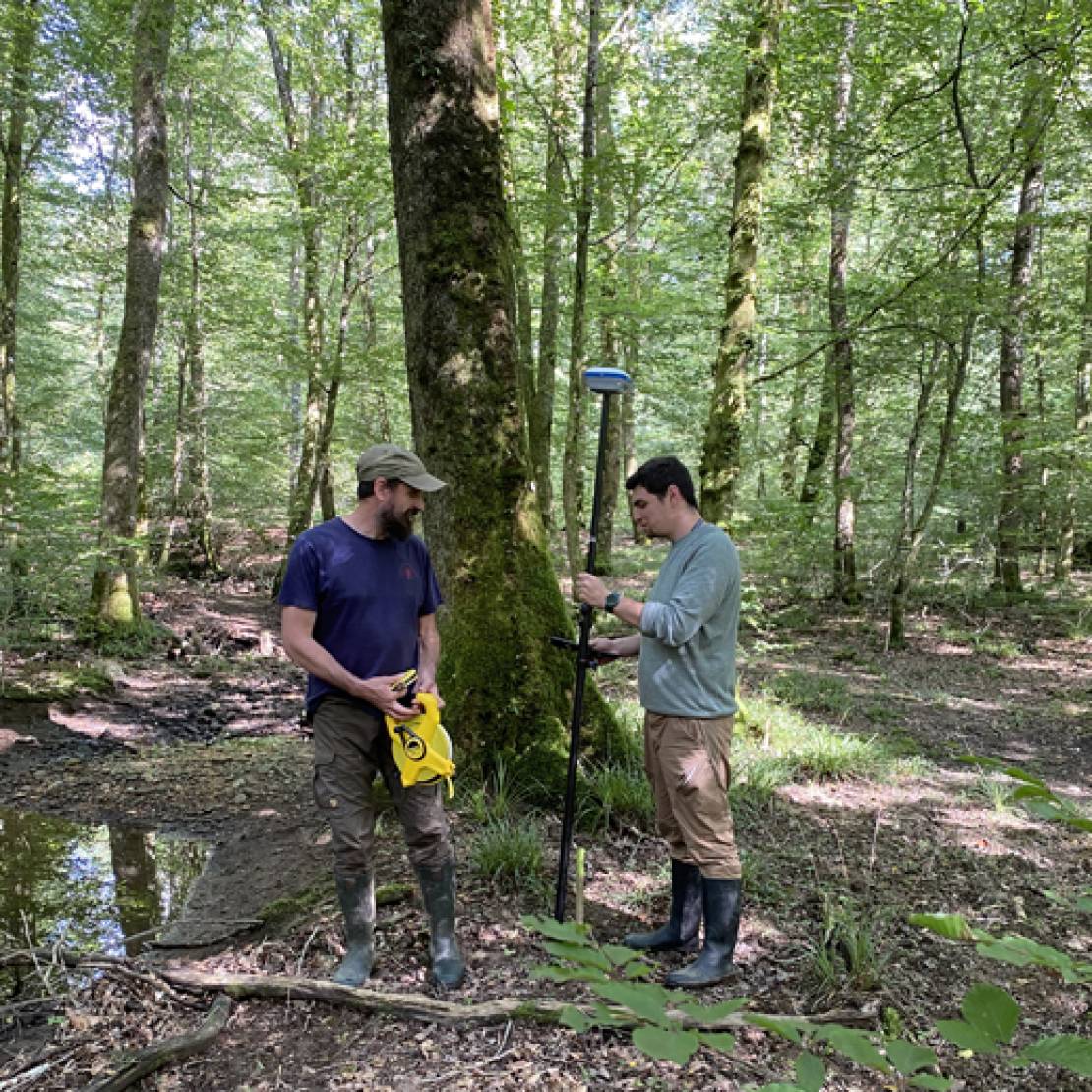 Observations en forêts de Chaux et Chailluz