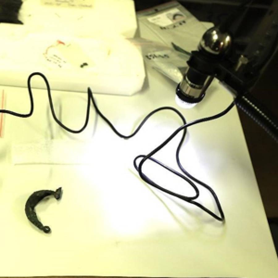 Observation d’une fibule au MBAA de Besançon